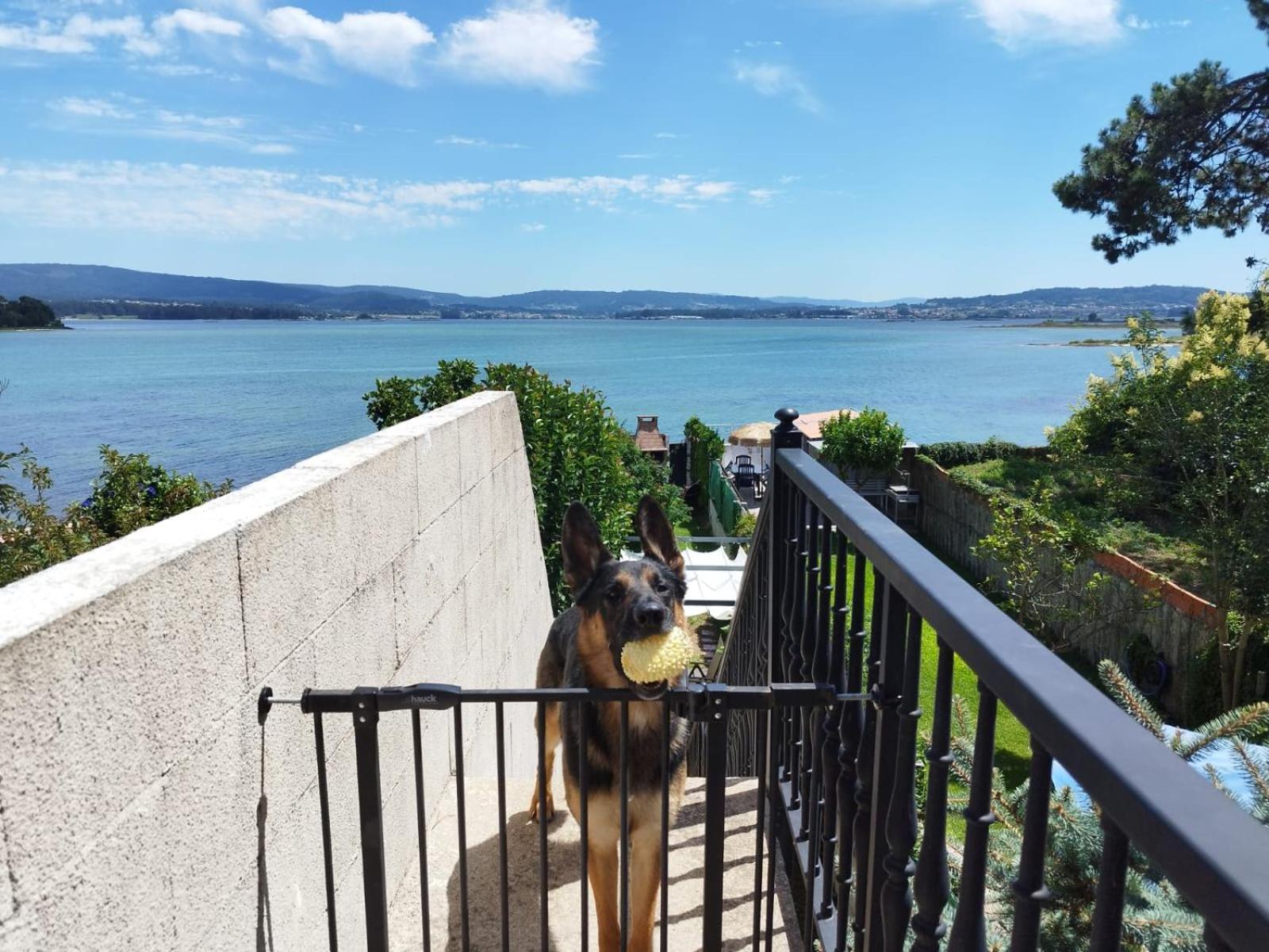 Vistas Al Mar E Isla De La Toja Lägenhet O Grove Exteriör bild